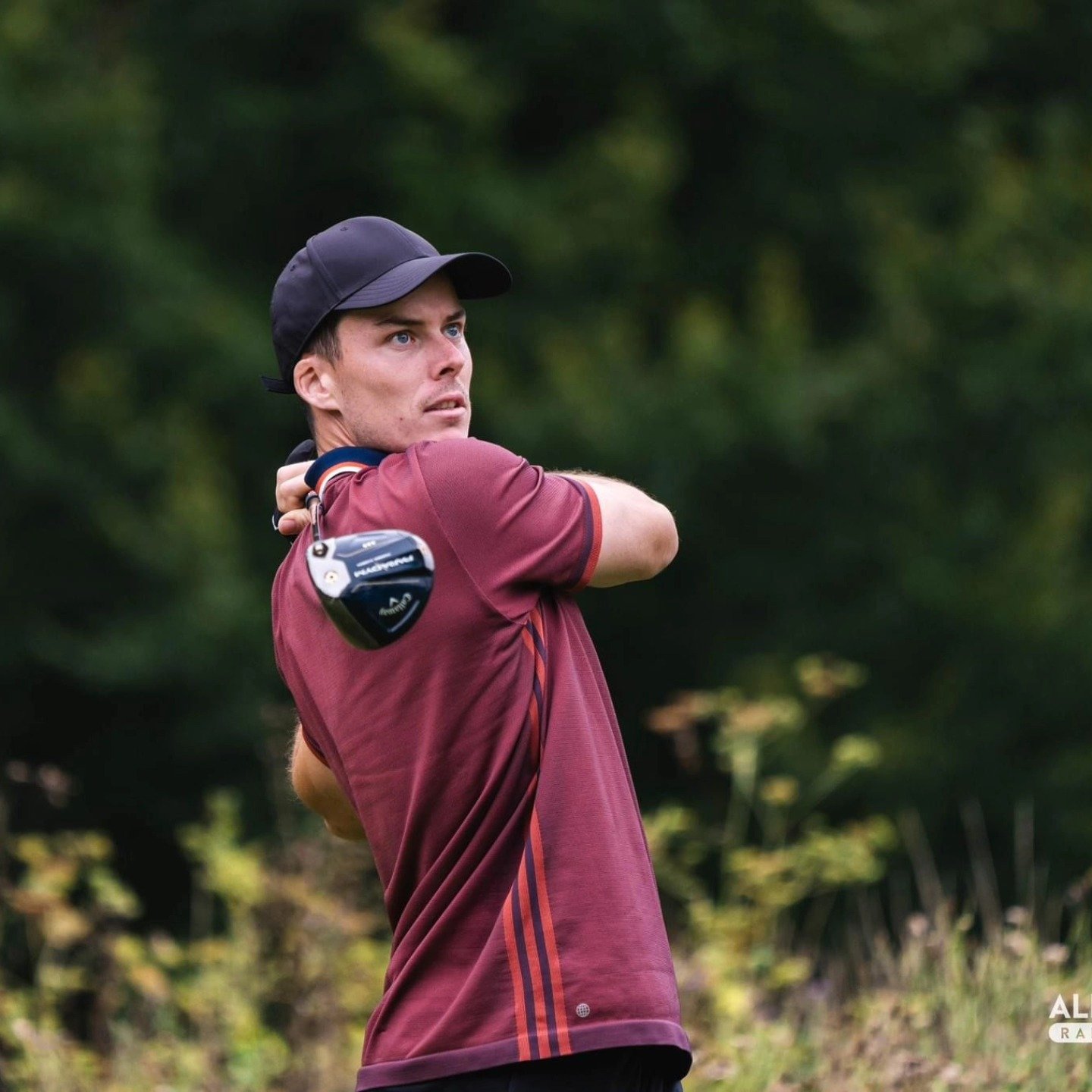 Championnat de France Professionnel